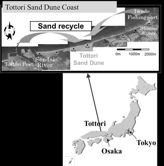 Proceedings of the 7 th International Conference on Asian and Pacific Coasts (APAC 203) Bali, Indonesia, September 2-26, 203 EFFECT OF THE COASTAL CONSERVATION DUE TO BEACH NOURISHMENT OF TOTORI SAND