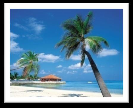 Caribbean Tourism Market DESTINATION ARRIVALS Dominican Republic 3,979,672 Cancun