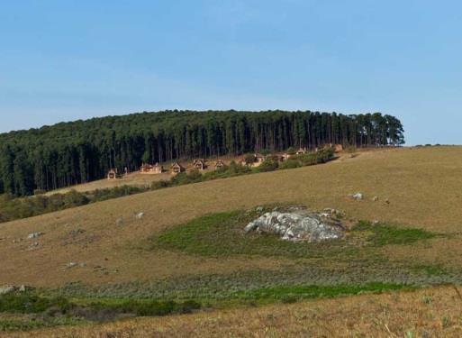Located high on the Nyika Plateau within Nyika