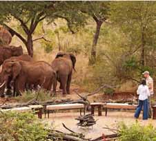 Welcome to SkySafari - The Ultimate African Safari Experience SkySafari is a bespoke blend of incomparable game-viewing opportunities, luxuriant accommodations, intimate dining choices and