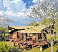From the foothills of Kilimanjaro s sister mountain, Mount Meru, to the magical tree houses in Tarangire, and from the drama and beauty of the Ngorongoro Crater and Serengeti plains to the island