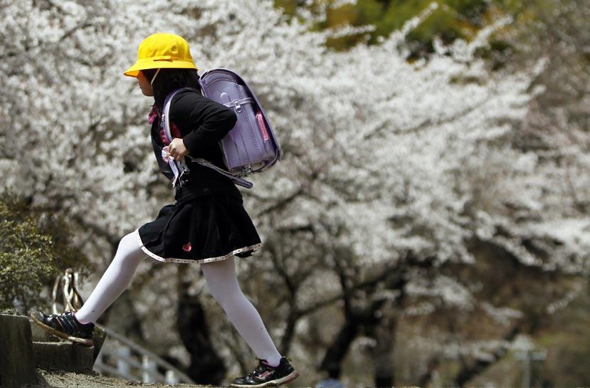 The Road to Recovery A new pupil walks in front of cherry blossoms in full bloom after an entrance ceremony at Kamaishi Elementary School in Kamaishi, Iwate Prefecture, April 20.