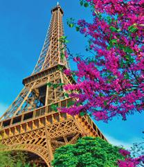 X See the Eiffel Tower & 2019 Paris & the Heart of Normandy PARIS ROUEN PARIS X 8 Days / 7 Guided Tours DAY DESTINATION ACTIVITIES 1 Paris We meet you at the Paris airport & take you to your ship;*