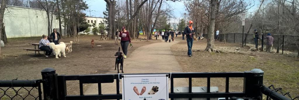 GENERAL Size and shape SAFETY AND QUALITY Saturday in the Park : What to Change in Shirlington Dog Park Control dust, litter, sanitation Address conflicts between dogs and