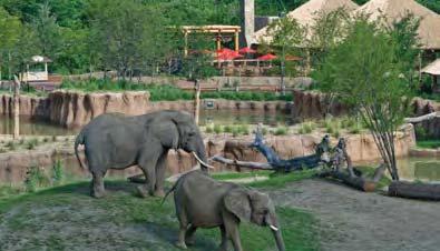 additional improvements $280K Dallas Zoo Matching Funds: $3.