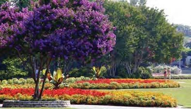 SYSTEM-WIDE PROJECTS Dallas Arboretum Matching Funds: $1M