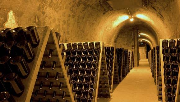 From here the fun will begin as you commence your tour of Champagne houses and caves.