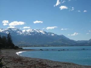 Kaikoura Fly Wellington to Blenheim (cost not included).