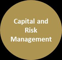 Capital and Risk Management 1 Hedging policy Systematic layering approach using currency forwards up to 15 months (5 quarters) in advance to smoothen volatility To the extent possible, match