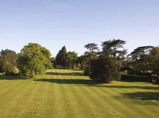 Sustainability Our vision for Ashridge is to give our guests a great experience, conserve our cultural heritage, and develop a sustainable future.