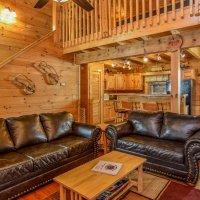 Mudpuppies & Moonshine Cabin Summary Comfortably sleeps 14. Enjoy a Smoky Mountain Vacation in our spacious cabin!