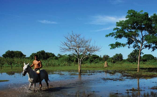 José Medeiros This fact sheet allows you to see how varied the countryside is across Brazil. 2.1 What is the climate like?