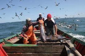 OUR SOCIAL STANCE As inhabitants of the most traditional fishing region in Baja California Sur, we, the inhabitants of fishing corridor San Carlos - Las Barrancas -San Juanico, state our position and