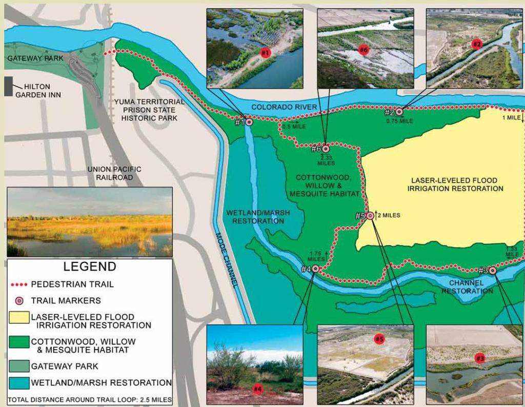 A Hiking Guide to Trails in the Yuma Area 91 Trail guide taken from the East Wetlands website: West Wetlands Park/Centennial Beach: West Wetlands Park is a 110-acre park along the Colorado River that