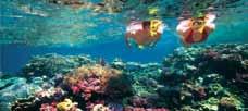 Book: 3 day Cooktown, Rock Art & Rainforest fr 675 per person includes