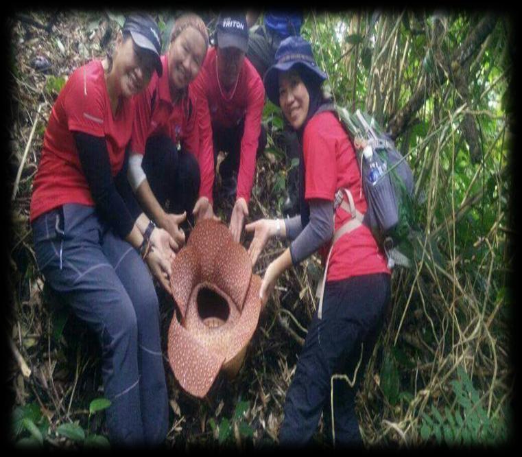 Sayap Eco-Tourism Association (Kinabalu Park) 2.