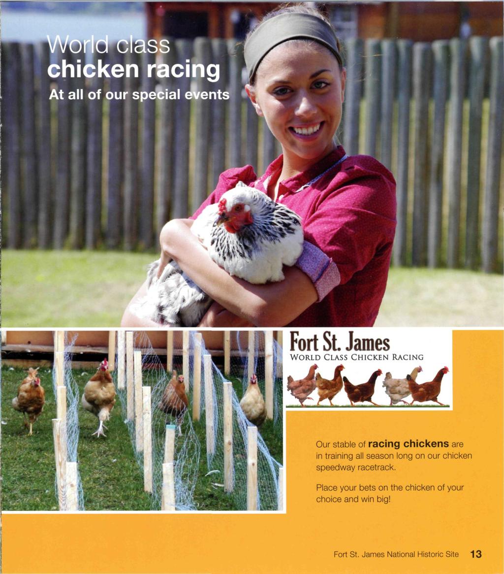 Our stable of racing chickens are in training all season long on our chicken speedway racetrack.