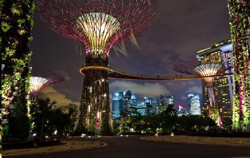 Welcome to Singapore! Arrive & Check in the Hotel. In the evening you will be taken for one of the best wonder of Singapore: Gardens by the Bay. The world's premier tropical waterfront garden.