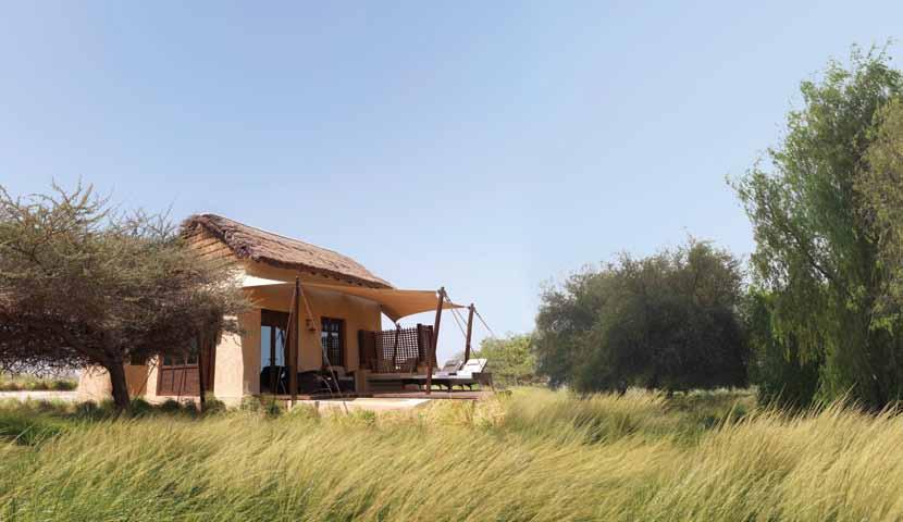 Luxury villas nestled amongst salt dome hilltops to create a veritable oasis of charm Observe elegant gazelles and Arabian oryx as they make their way through the lush savannah.