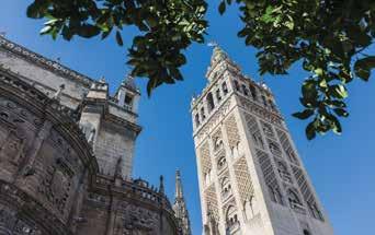 Select from a full day tour to the world renowned Cordoba, considered to be the most beautiful Medieval city in Spain or take a full day tour to Jerez.