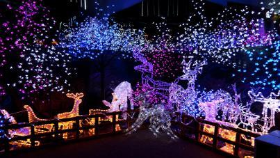 Zoo, shop at Spiedel, visit the twinkling stars of the Oglebay Holiday Lights, and of