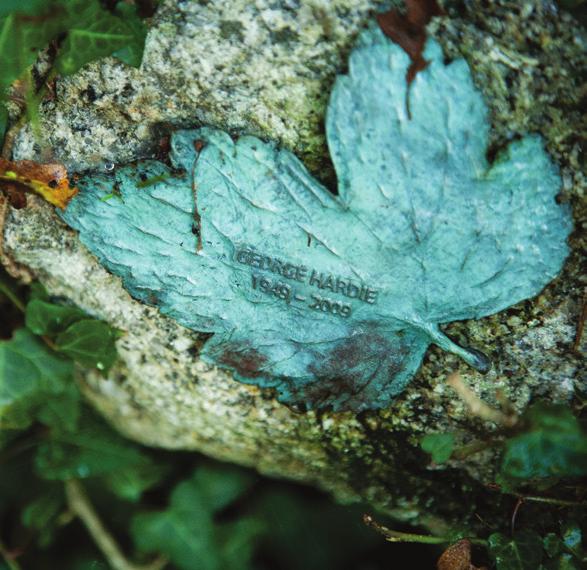 Eden s Bronze Leaves are inscribed with a message of your choice and placed on our Rainforest Canopy Walkway or in our peaceful Wild Cornwall area of the Outdoor Gardens.