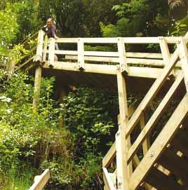 The Kaimai-Mamaku Forest Park immediately north of SH29 features walks along historic tramways through bush, as well as the spectacular Wairere falls and a couple of basic huts suitable for overnight