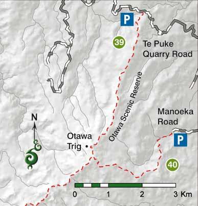 Please leave gates as you find them as you cross the private land. Entering the forest, the track follows the gently undulating ridgeline for 2 hours to reach the Otawa Trig. Return the same way.