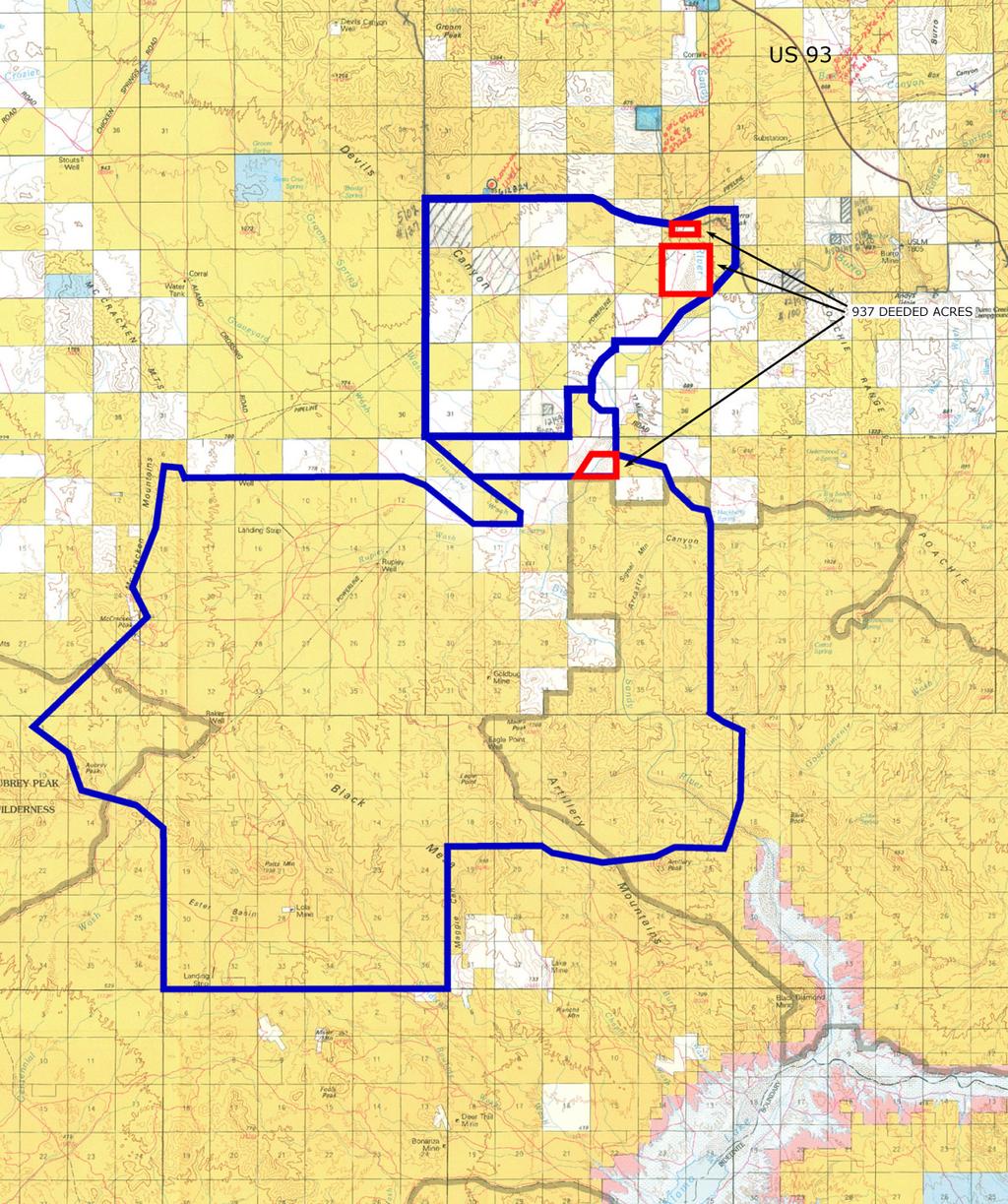 Tenure Map Basemap source: BLM Surface Management, Bagdad and Alamo
