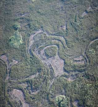 These intricate scrollwork patterns are old beach ridges consisting of coarse gravelly deposits and vegetated by open jack pine stands with sparse understories.