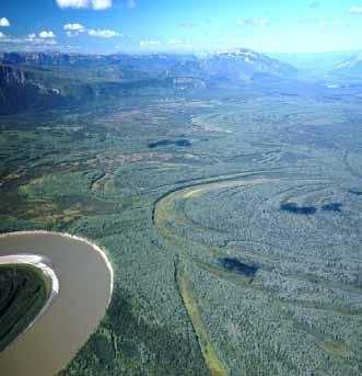 The Liard River (left), meander scrolls (curved features produced by river migration across the floodplain), and a mix of wet fens (light green) and productive mixed-wood