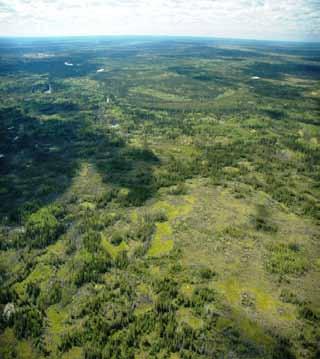 The Slave River Delta inland from the delta mouth supports tall white spruce black spruce forests (dark green patches), trembling aspen balsam poplar forests (medium green) and small horizontal fens