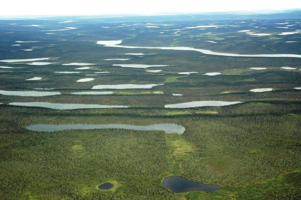 Anderson Plain HS Ecoregion 350,000 300,000 250,000 Area (ha) 200,000 150,000 100,000 50,000 0 <100 ha 100-499 ha 500-999 ha 1,000-5,000 ha Lake