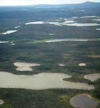 Vegetation growth improves west of Lac Belot toward the North Mackenzie Plain LS Ecoregion and the