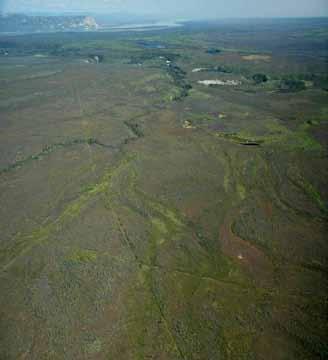 This southeast view across the North Mackenzie Plain LS Ecoregion shows extensive gray burned areas, bright green shrub regeneration in moist channels, and dark green residual forests along