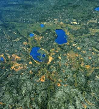 Peat plateaus with small collapse scars and thermokarst lakes are characteristic of the Ebbutt Upland LS