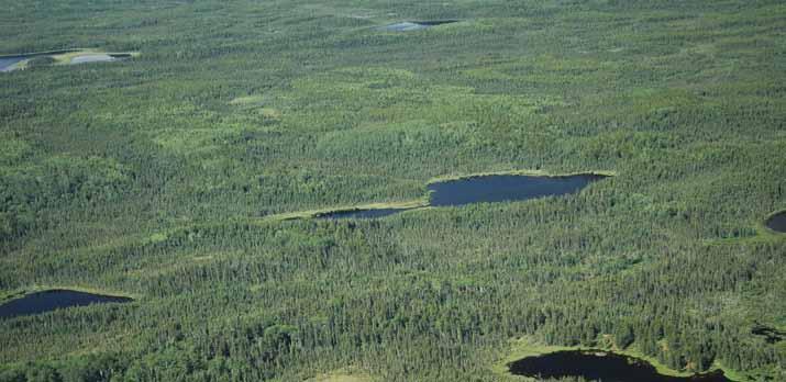 3.3.3 TAIGA PLAINS HIGH BOREAL (HB) ECOREGION Typical upland landscapes in the Taiga Plains High Boreal (HB) Ecoregion are forested by closed to semi-closed stands of mostly black spruce and pine
