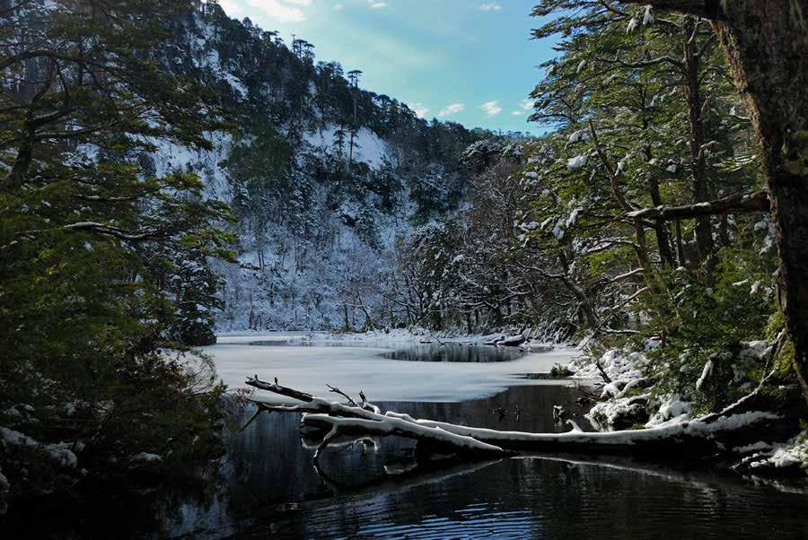 WINTER TREKKING Duration : Full day/6 hours Season : July through October 15th. Difficulty: Medium. Huerquehue National Park is located just 40 minutes away.