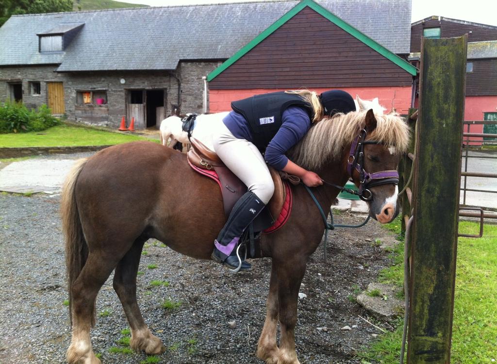 Cadarn Trail Riding (Yr7&9) A five day stay in a converted farmhouse surrounded by fields of horses and ponies situated in the Brecon Beacons.