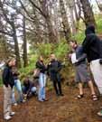 Wellington Highlights Tour Take a city sightseeing tour of Wellington, including a guided
