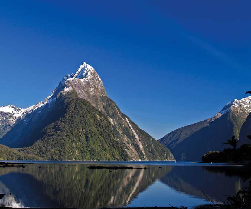 pristine waters of Milford Sound; experience ancient