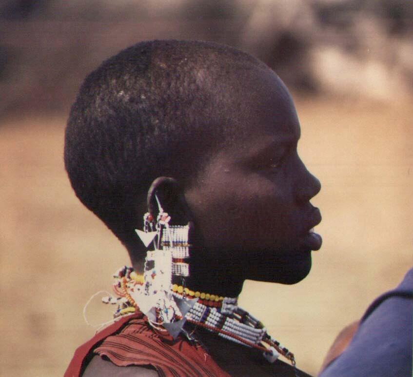 North Tanzania Itinerary Tribes and Scenery Main Parks and Reserves plus the Maasai