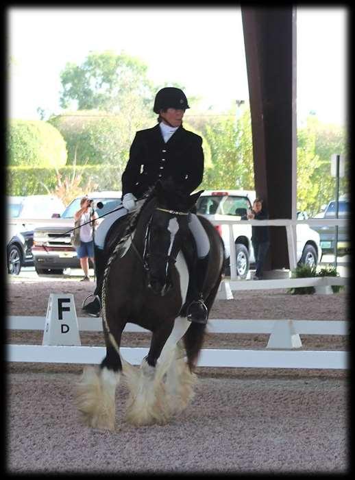 2014 USDF All Breed Awards Aodhan Lee Owner: