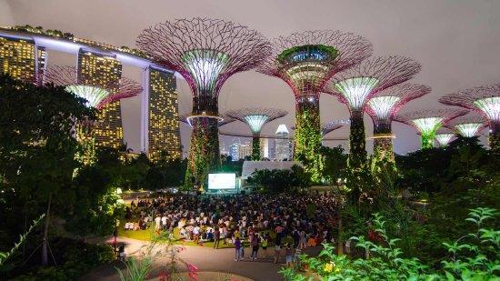 Singapore Singapore Tourism Board reported a 7.