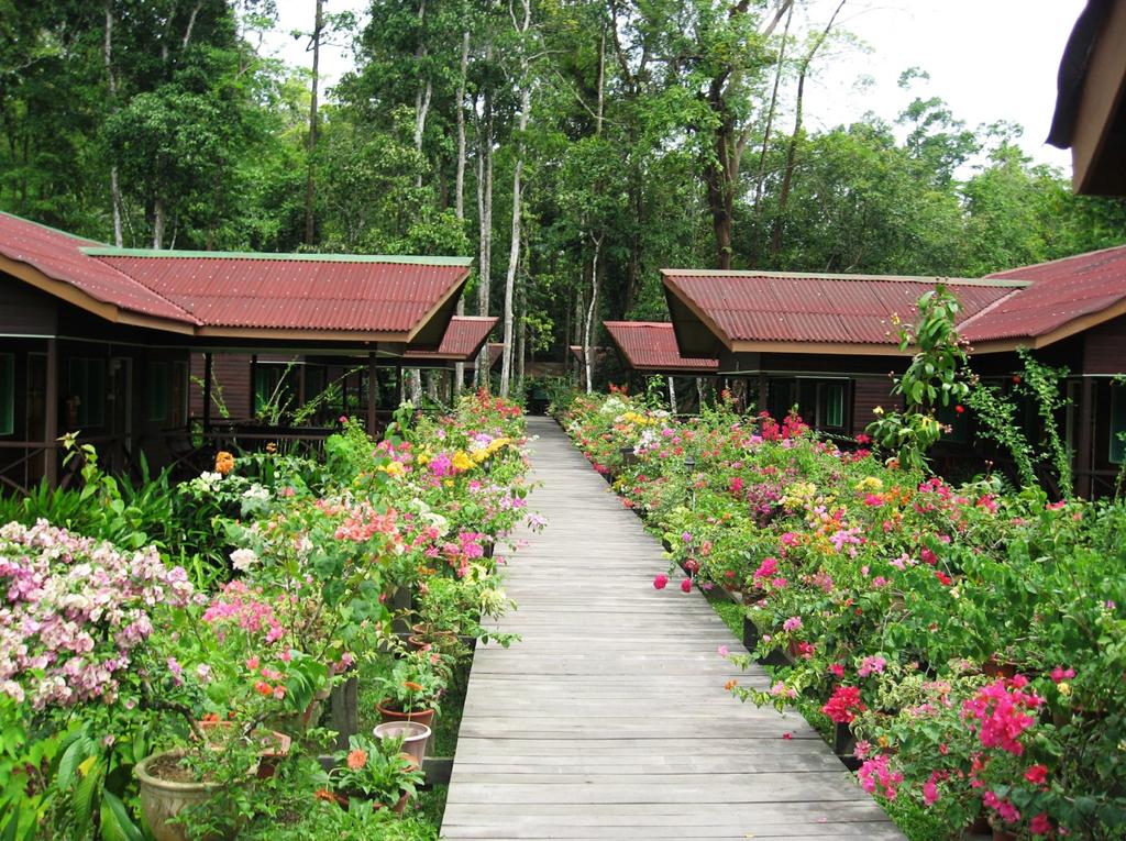 The large central lodge area stands on columns of Borneo's famous hardwood and features a spacious veranda and dining area with a well-stocked bar.