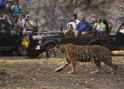 Sikri. Ranthambore national park Ranthambore is one of the biggest and most renowned national parks in northern India, having an area of 392 sq km.