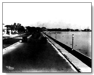 BAYSHORE BOULEVARD: A BRIEF LOOK AT ITS HISTORIC PAST By CHARLES A. BROWN is an excerpt from a May 21, 1891 interview with Mrs. Chapin published in the Tampa Journal.