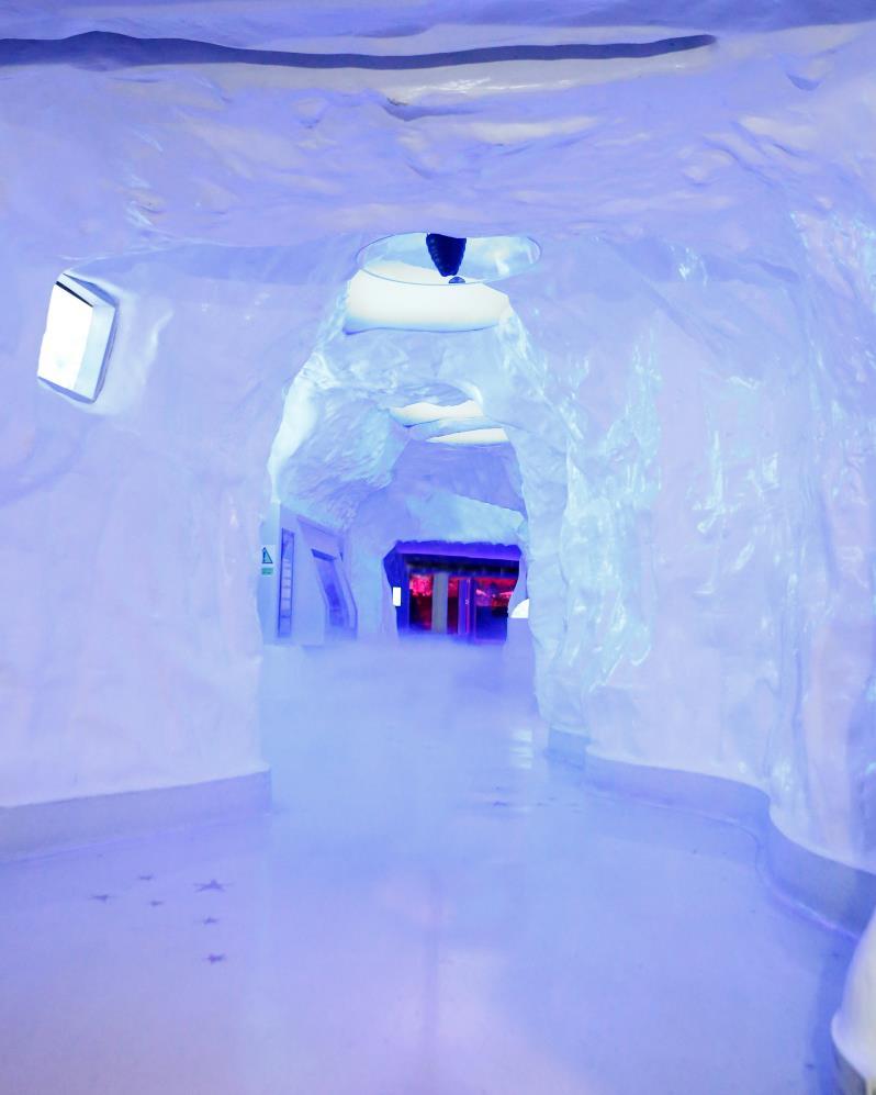 Walk through the chilly Kingdom of Ice and learn about the polar region.