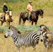 From 1,595 for 4 weeks From 795 for 4 weeks From 1,195 for 4 weeks From 1,295 for 4 weeks Swaziland African Wildlife Sanctuary Prepare for a hands on experience in a