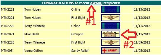 Awards Fig. 5: Awards. This section lists the ten most recent awards earned by MTN pilots.